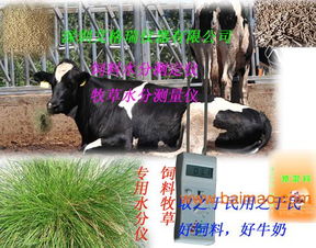 飼料水分儀 提升農(nóng)林牧漁飼料質(zhì)量管理的關(guān)鍵工具