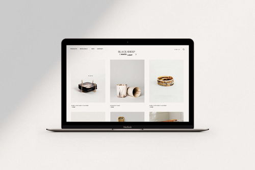 融合科技與自然的品牌美學 平面設(shè)計在室內(nèi)設(shè)計產(chǎn)品品牌形象與網(wǎng)絡(luò)技術(shù)開發(fā)中的創(chuàng)新實踐